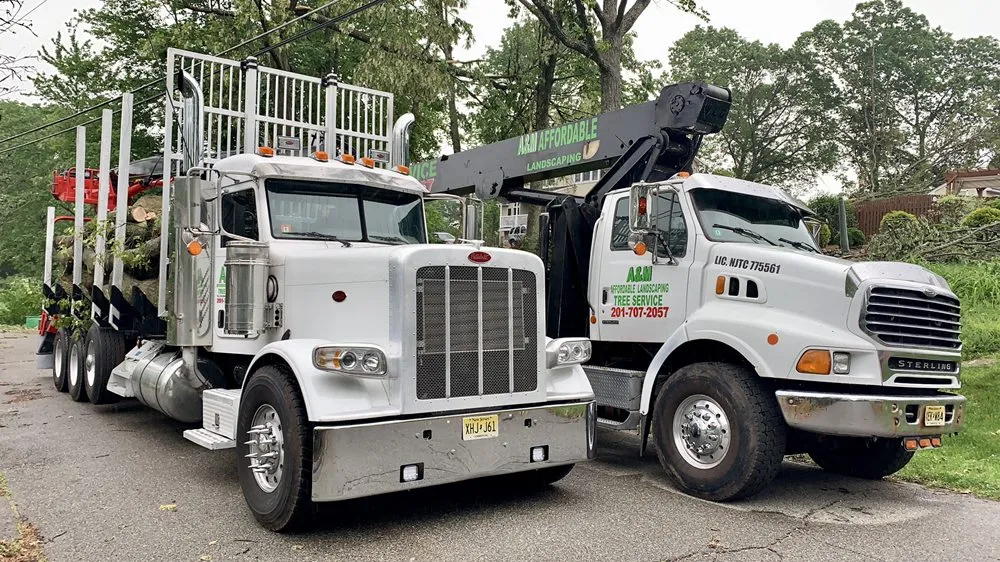 Trusted outdoor landscaping for beautiful yards across Woodland Park, NJ - A&M Affordable Tree Service