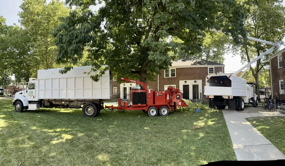 Reliable yard maintenance for homes across Woodland Park, NJ - A&M Affordable Tree Service