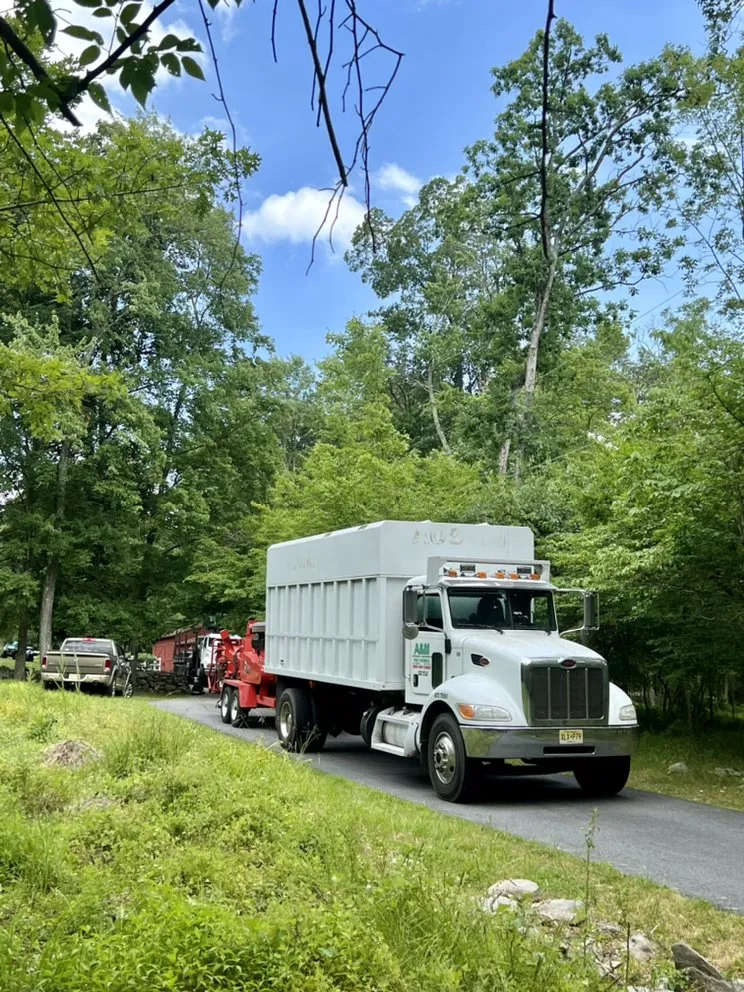 Top-rated landscape installation for outdoor upgrades across Woodland Park, NJ - A&M Affordable Tree Service
