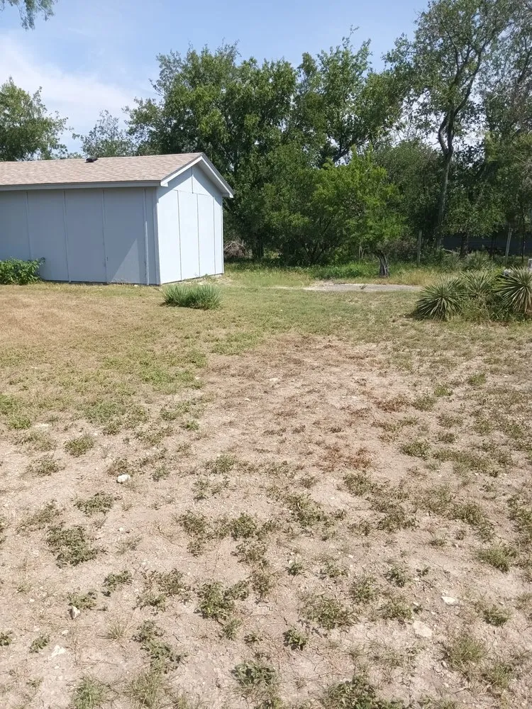 Professional garden landscaping for year-round maintenance across San Antonio, TX - A&M Cleaning Service