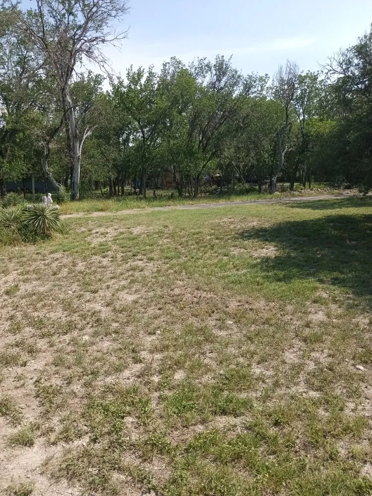 Trusted yard maintenance in San Antonio, TX by A&M Cleaning Service