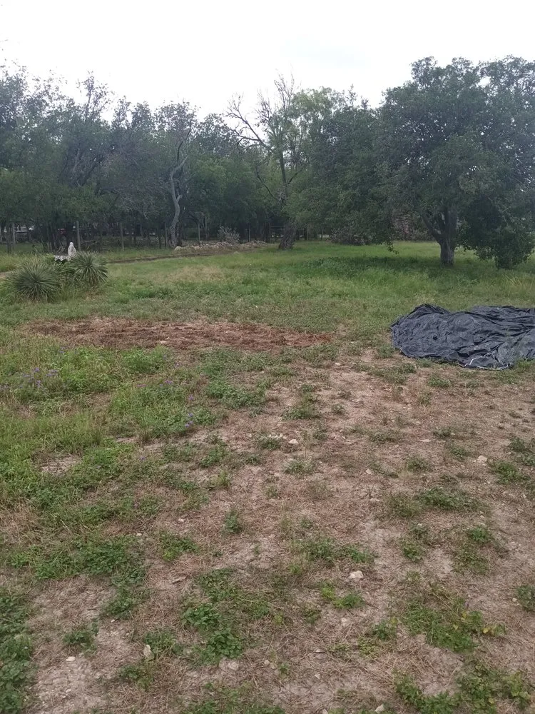 Top-rated landscaping services experts serving San Antonio, TX - A&M Cleaning Service