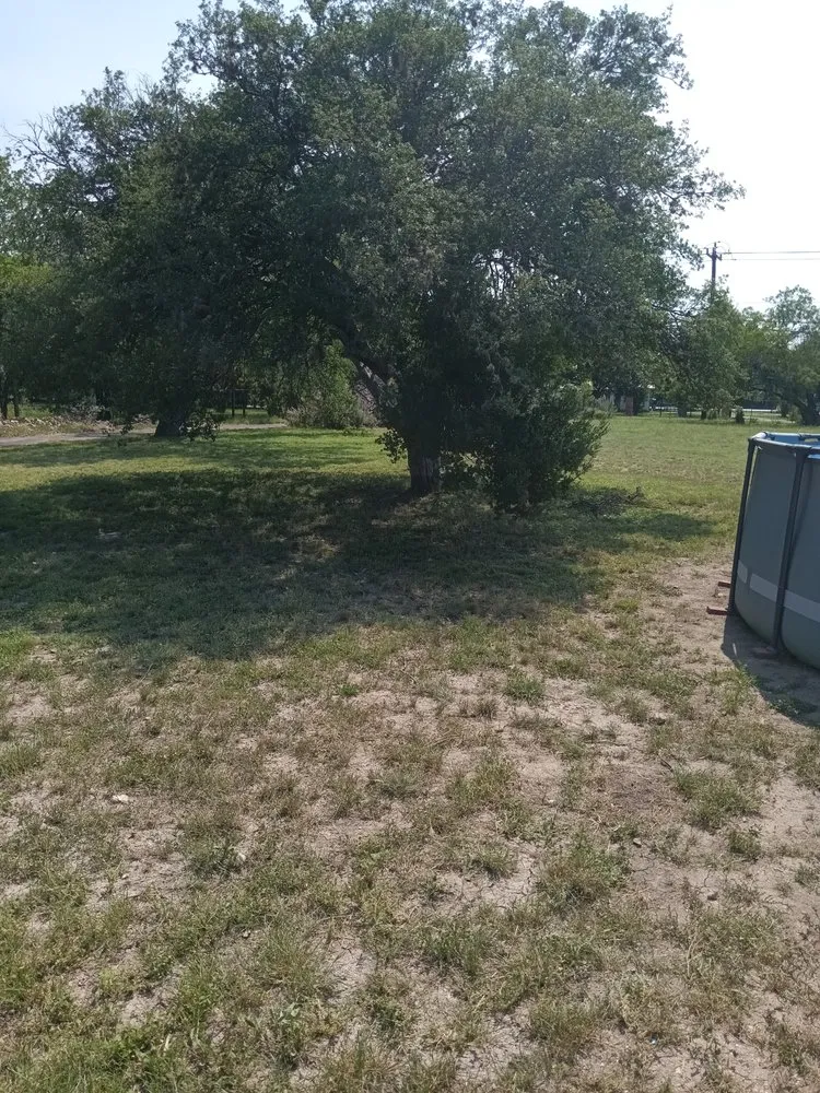 Expert outdoor landscaping in San Antonio, TX - A&M Cleaning Service