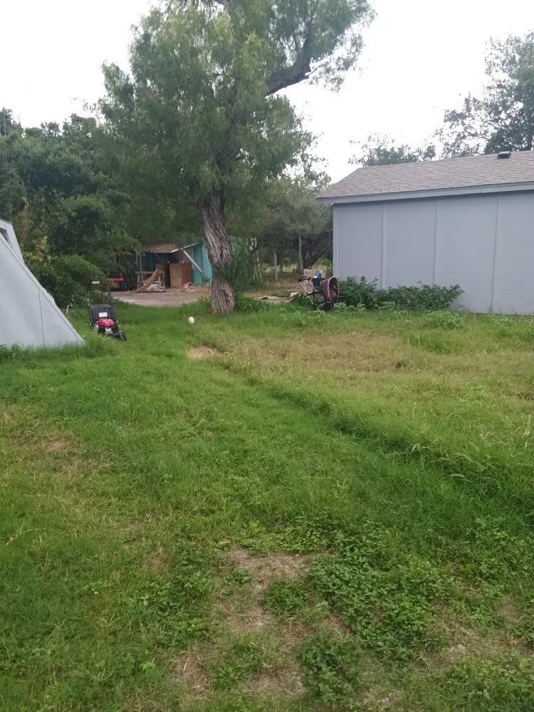 Custom landscaping services for year-round maintenance in San Antonio, TX by A&M Cleaning Service