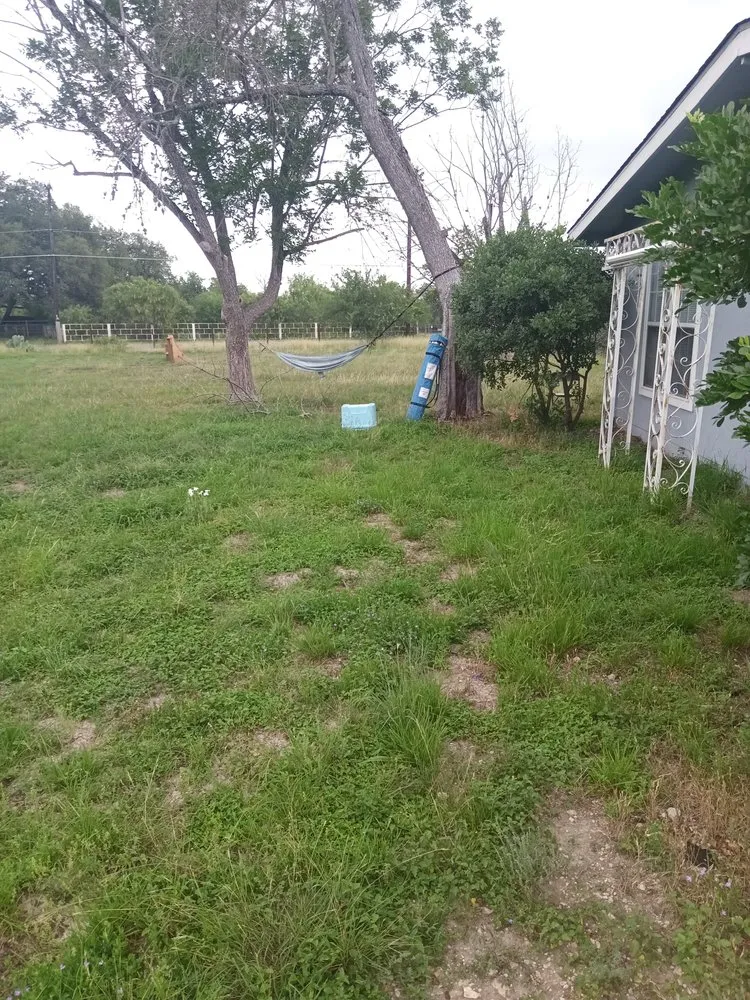 Local yard maintenance experts serving San Antonio, TX - A&M Cleaning Service