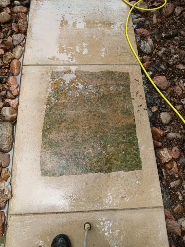 Affordable yard cleanup service for homes across San Antonio, TX - A&M Cleaning Service