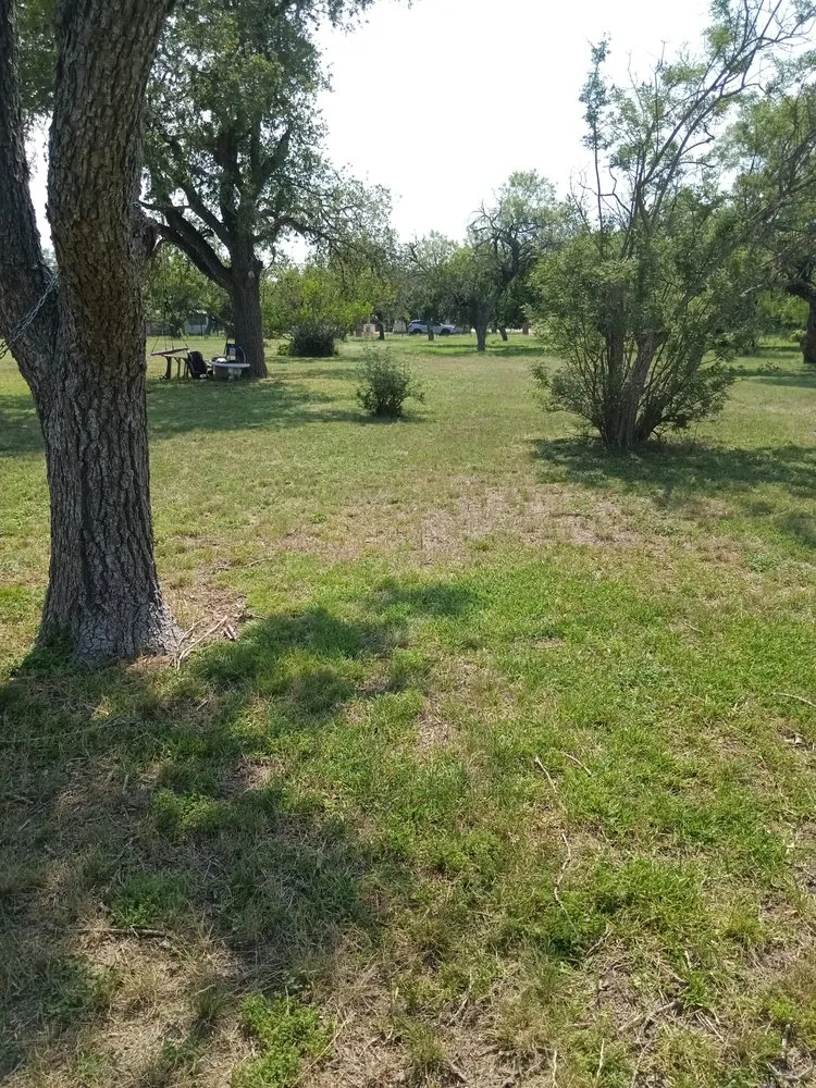 Professional yard cleanup service experts serving San Antonio, TX - A&M Cleaning Service