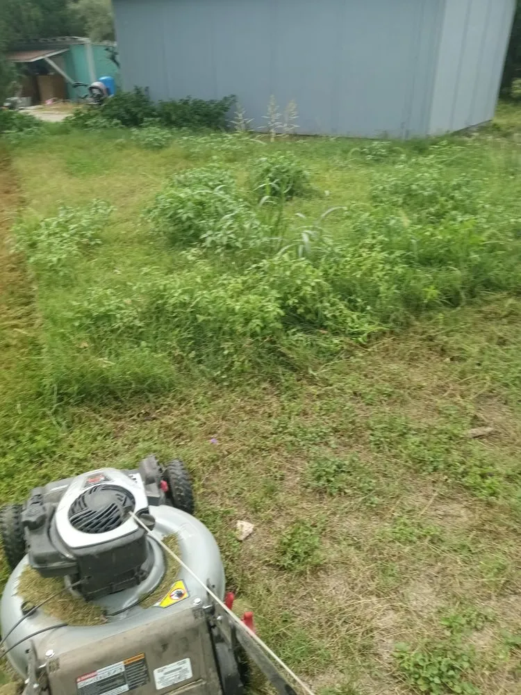 Top-rated garden landscaping for homes in San Antonio, TX by A&M Cleaning Service