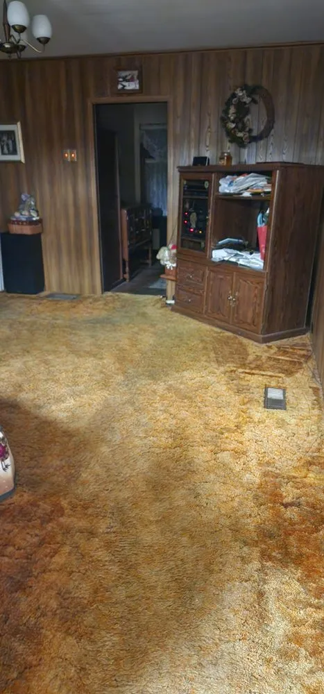 Expert yard maintenance for year-round maintenance in Minerva, OH by A&M Cleanouts