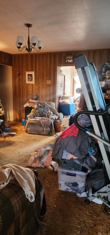 Expert landscape design for beautiful yards across Minerva, OH - A&M Cleanouts