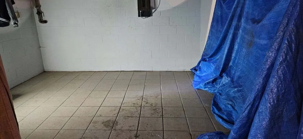 Expert residential landscaping for year-round maintenance in Minerva, OH by A&M Cleanouts