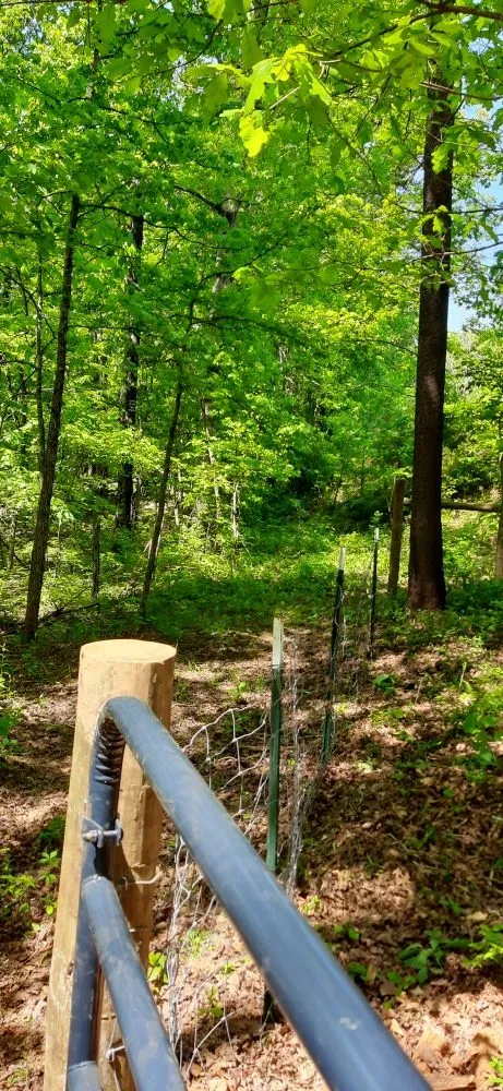 Trusted yard cleanup service in Cleveland, GA - A&M Contracting Services