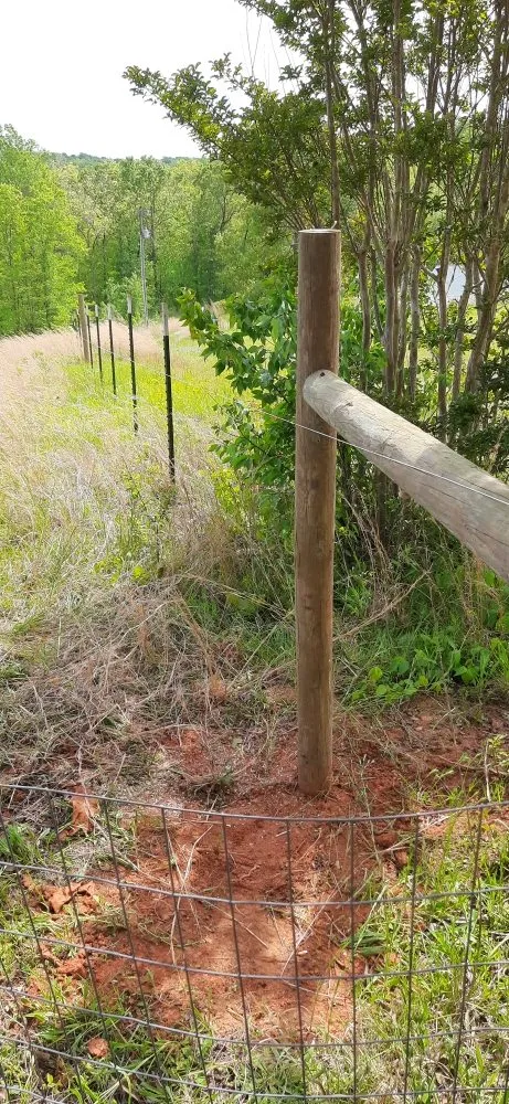 Top-rated residential landscaping for beautiful yards in Cleveland, GA by A&M Contracting Services