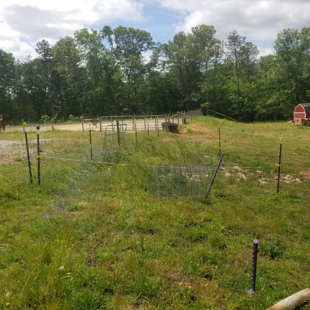 Top-rated lawn mowing service for homes across Cleveland, GA - A&M Contracting Services