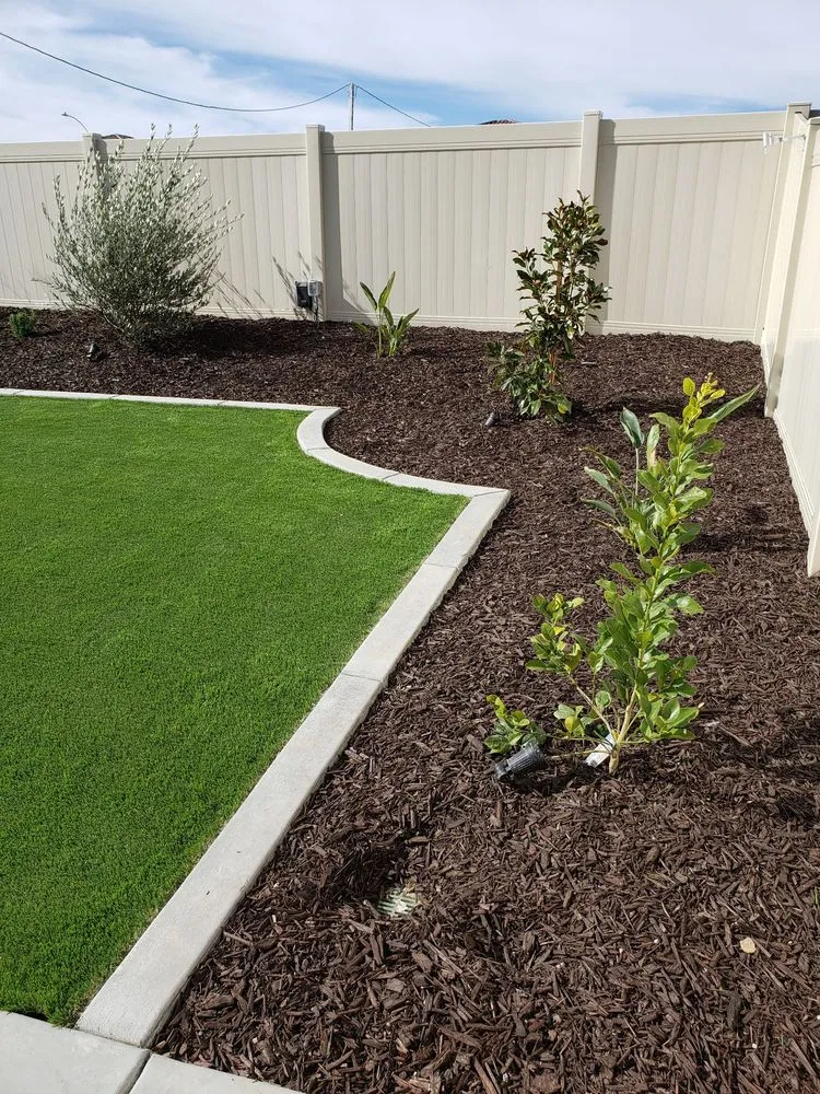 Professional yard maintenance in Corona, CA - AM Custom Concrete & Design