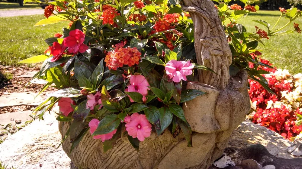 Affordable yard maintenance experts serving Franklin, TN - A&M Enhanced Lawncare