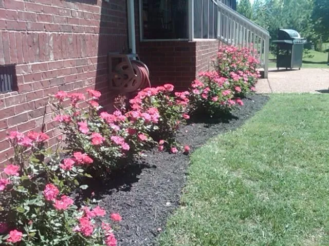 Top-rated yard maintenance in Franklin, TN by A&M Enhanced Lawncare