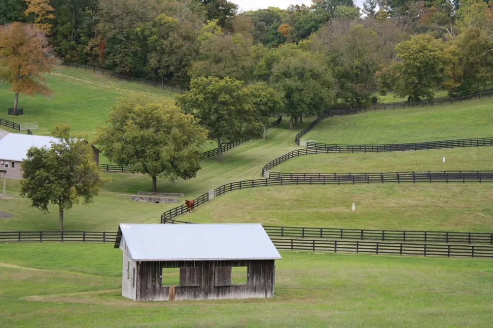 Expert landscaping services experts serving Franklin, TN - A&M Enhanced Lawncare
