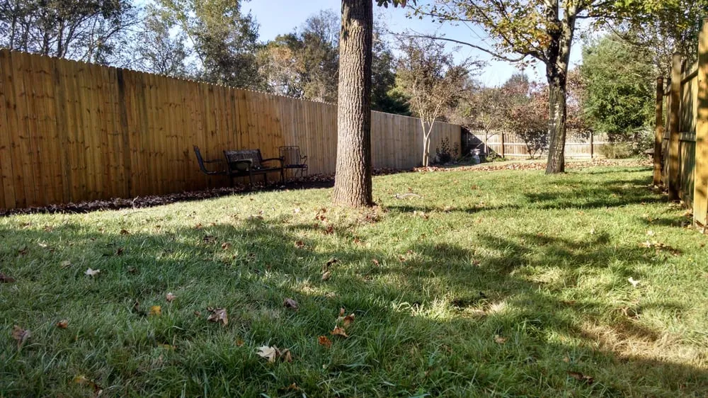 Trusted yard cleanup service for residential properties across Franklin, TN - A&M Enhanced Lawncare