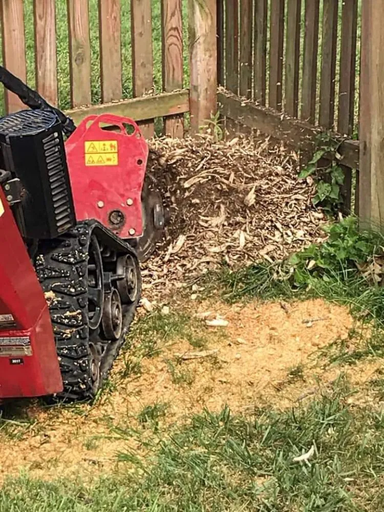 Local landscaping services for outdoor upgrades in Loch Sheldrake, NY by AM Enterprise Landscaping