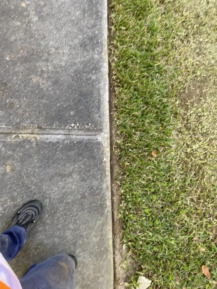Expert yard maintenance experts serving Foxworth, MS - A&M Enterprises