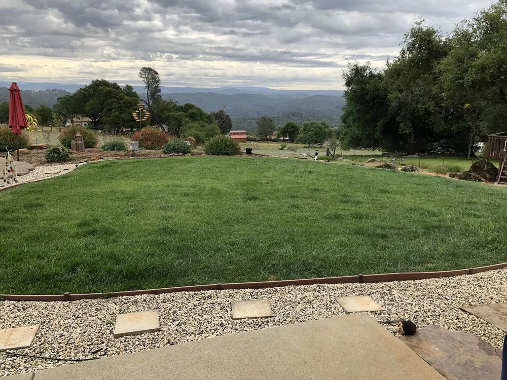 Top-rated landscaping services near you across Placerville, CA - A&M Gardening