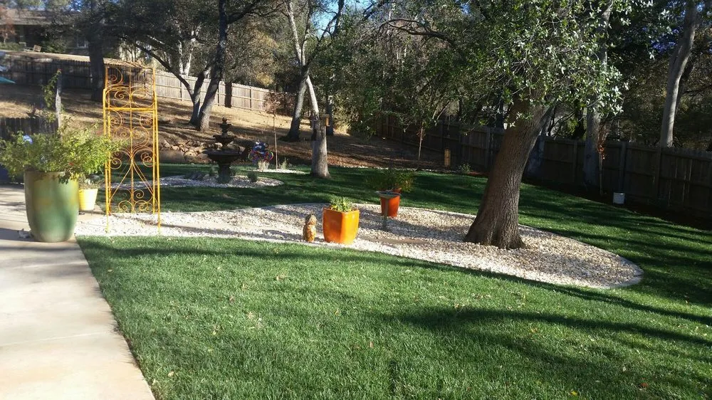 Affordable landscape installation for beautiful yards in Placerville, CA by A&M Gardening
