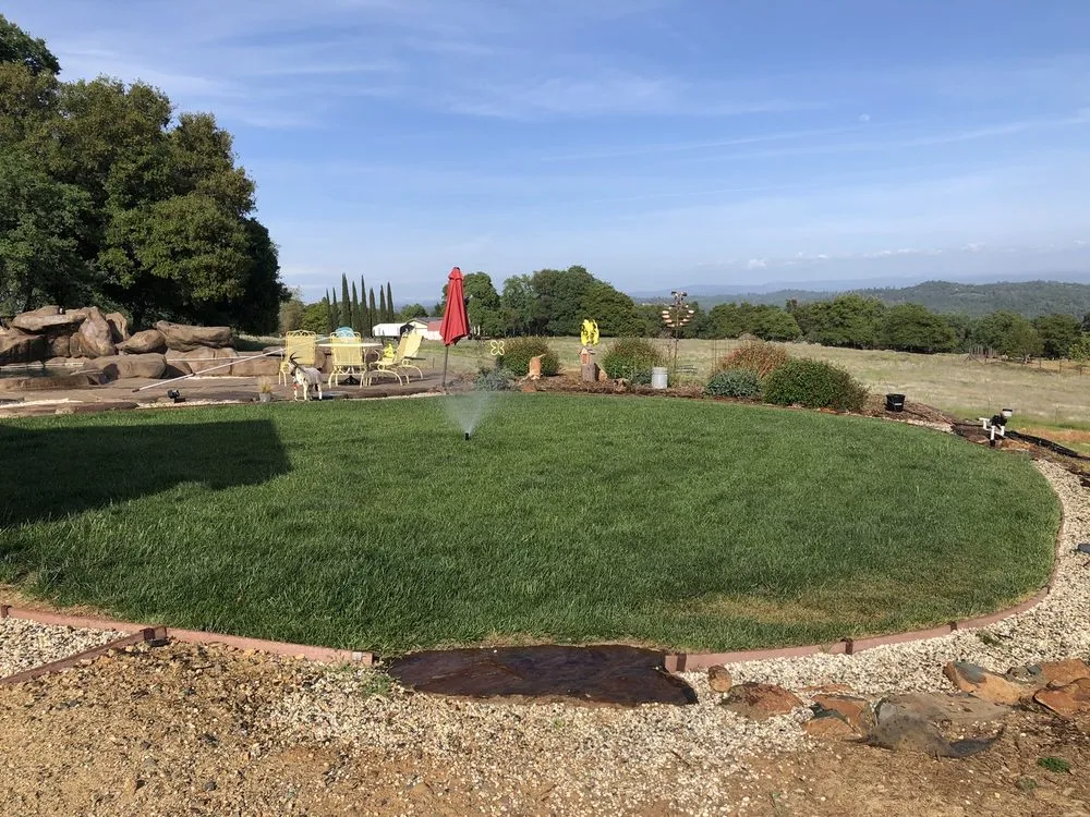 Trusted yard cleanup service in Placerville, CA by A&M Gardening