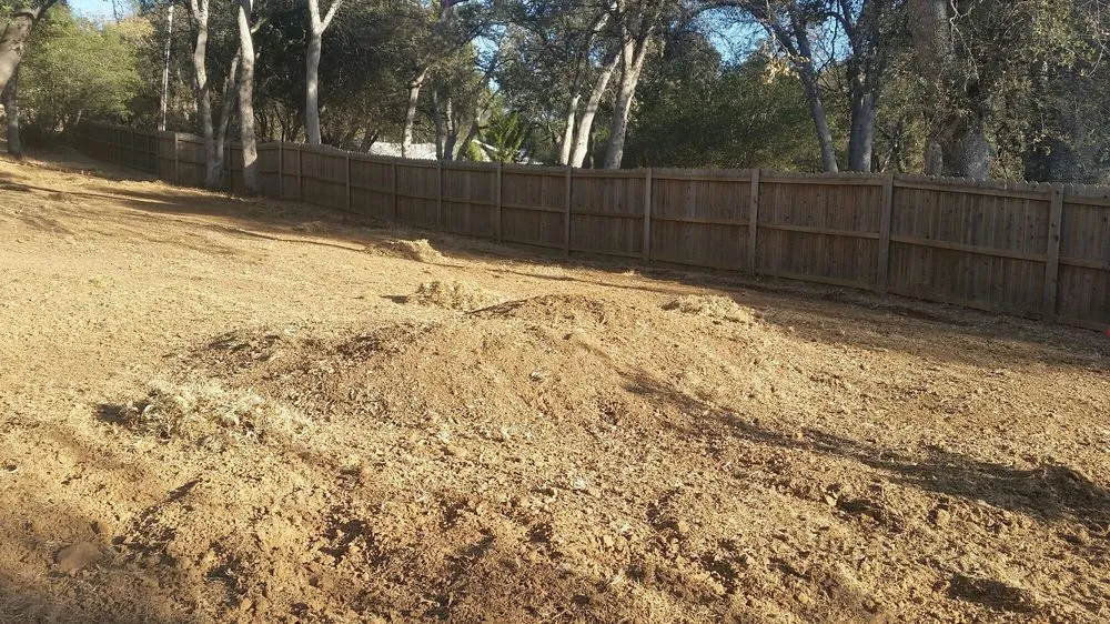 Custom lawn care service near you across Placerville, CA - A&M Gardening