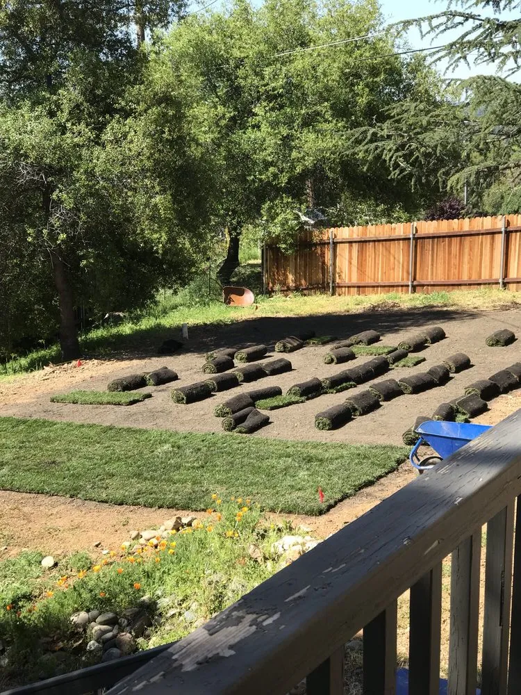 Trusted landscaping services in Placerville, CA by A&M Gardening