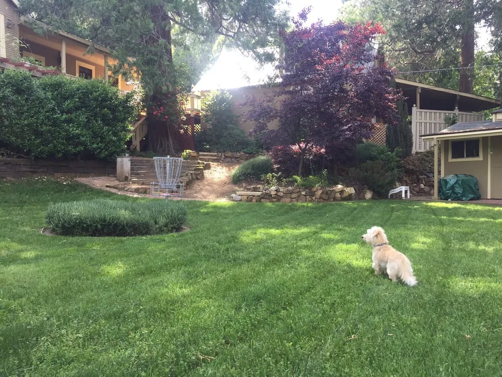 Trusted residential landscaping in Placerville, CA - A&M Gardening