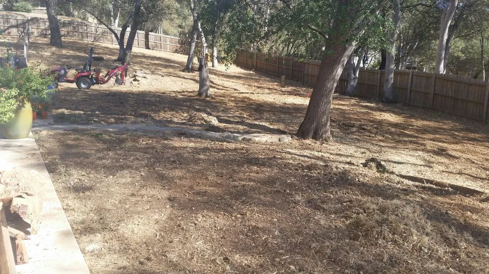 Custom yard cleanup service experts serving Placerville, CA - A&M Gardening