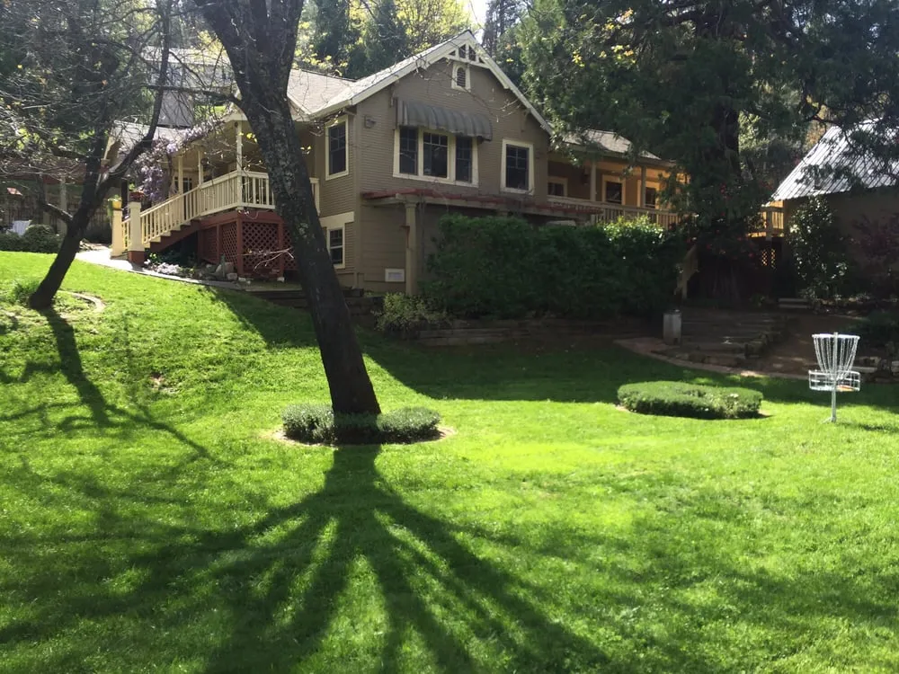 Professional yard maintenance near you in Placerville, CA by A&M Gardening