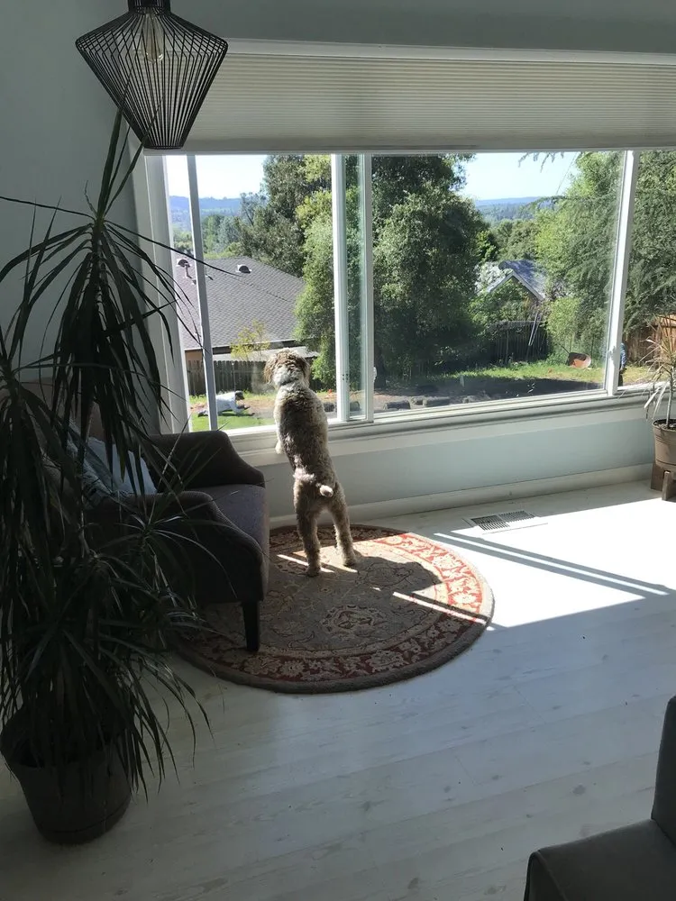 Expert lawn care service with custom design in Placerville, CA by A&M Gardening