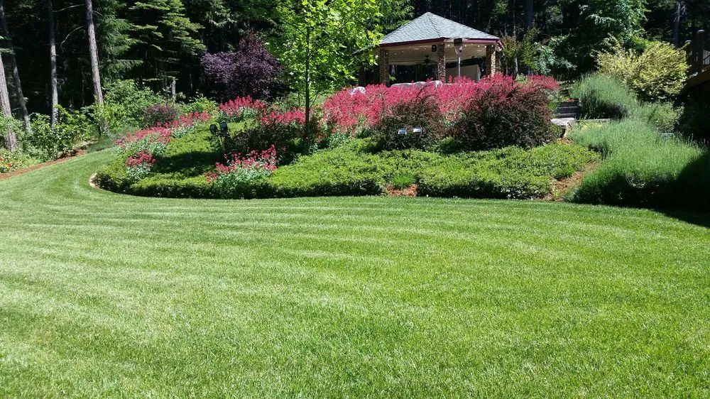 Top-rated residential landscaping for homes across Placerville, CA - A&M Gardening