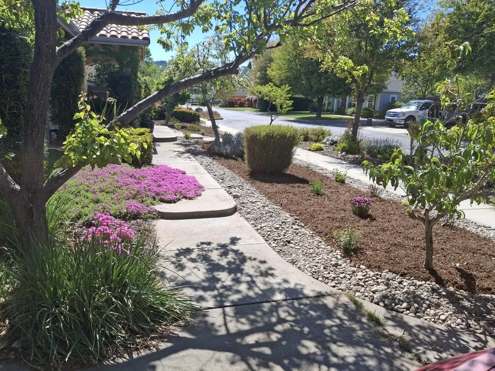 Expert garden landscaping near you in Paso Robles, CA by A.M Gardening Service