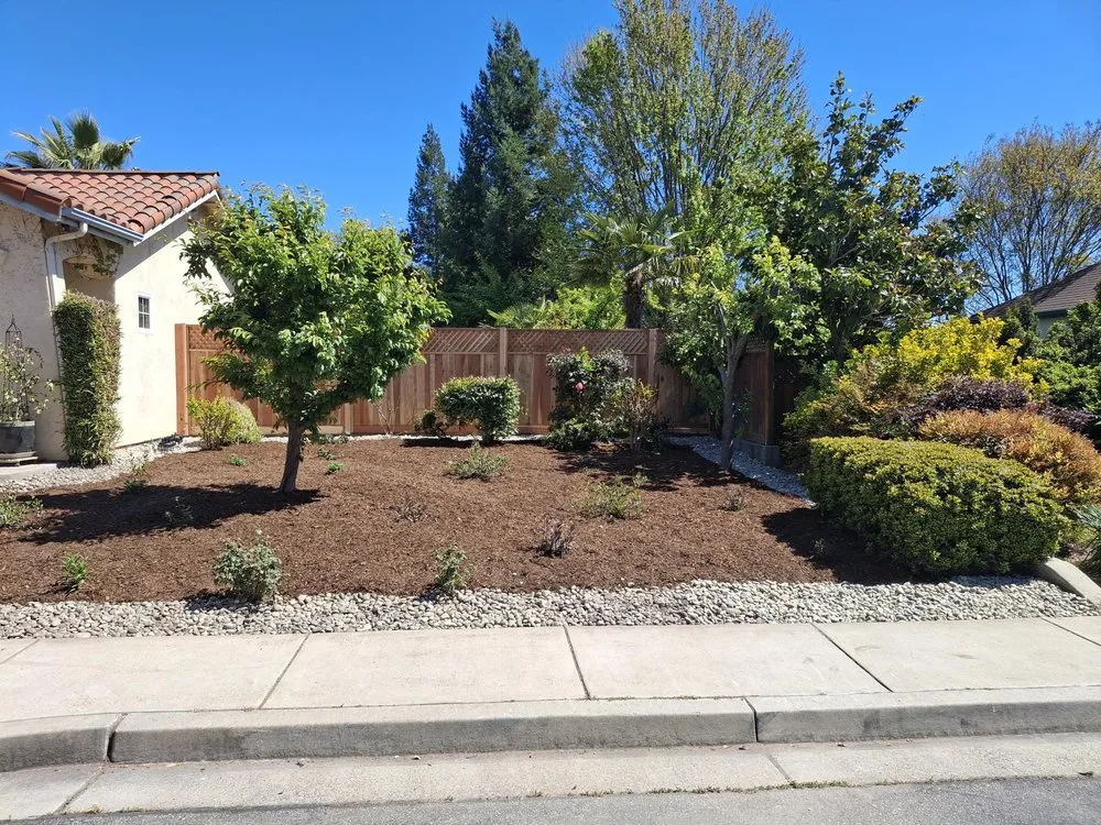 Trusted landscaping services for beautiful yards in Paso Robles, CA by A.M Gardening Service