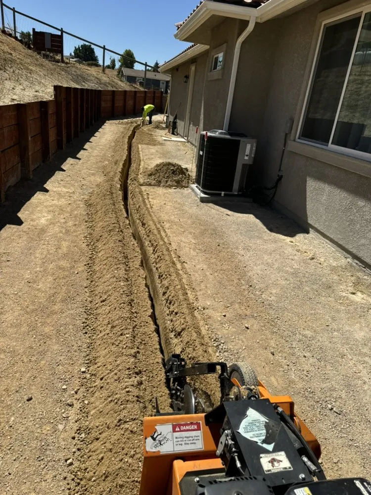 Affordable yard cleanup service experts serving Paso Robles, CA - A.M Gardening Service