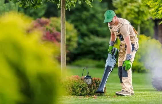 Expert yard cleanup service for outdoor upgrades across Elmendorf, TX - A&M General Contractors