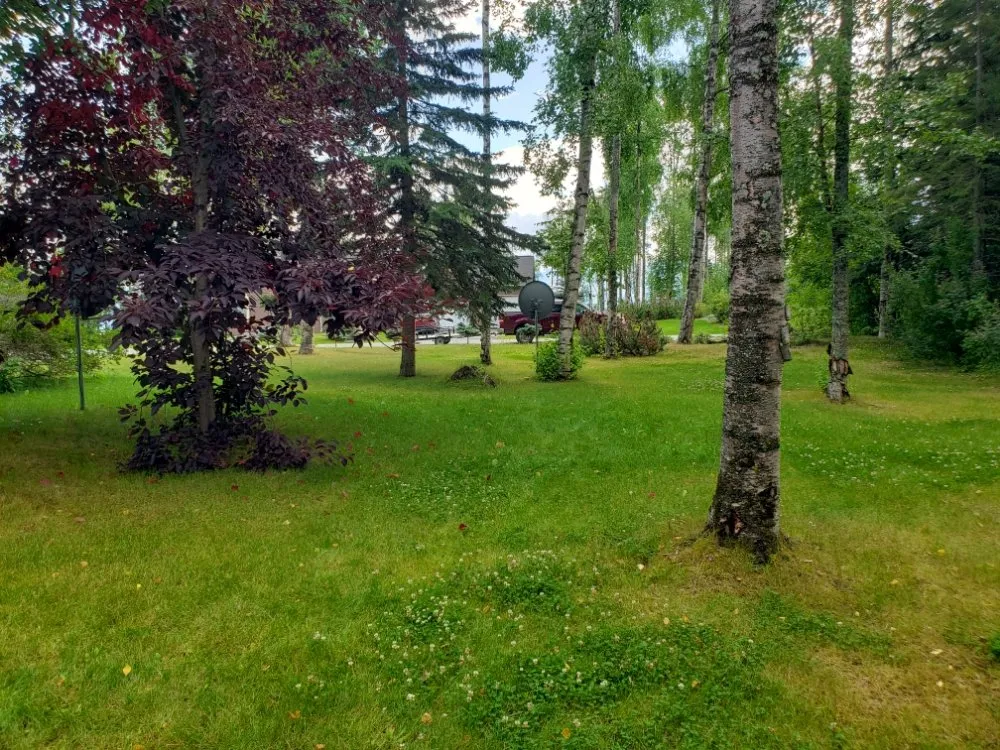 Reliable yard cleanup service in Palmer, AK by A&M Grounds Maintenance