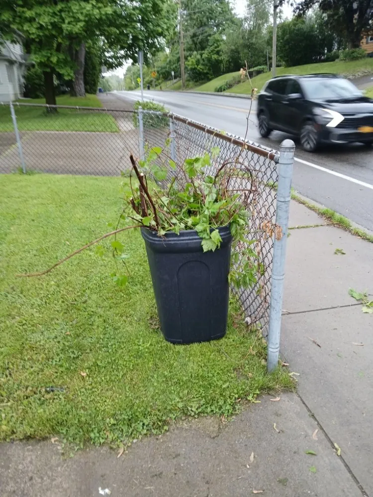 Affordable lawn mowing service experts serving Binghamton, NY - AM Gutters And Landscaping