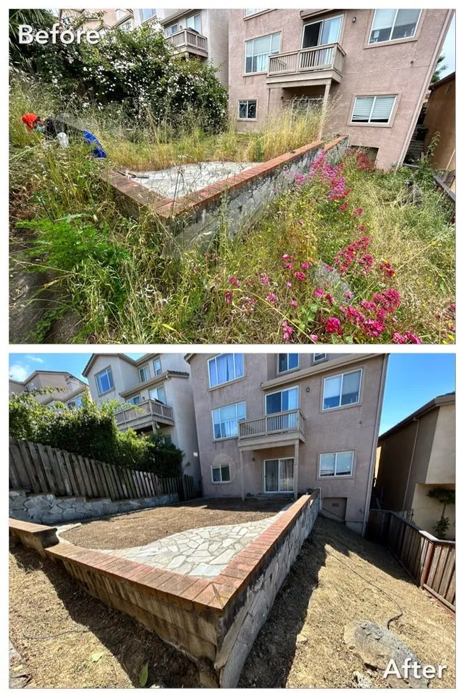 Local garden landscaping in San Francisco, CA - A&M Hauling & Demolition