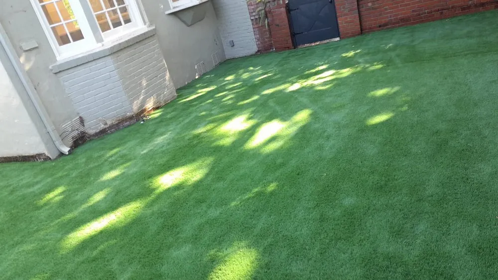 Local lawn care service in San Francisco, CA by A&M Hauling & Demolition