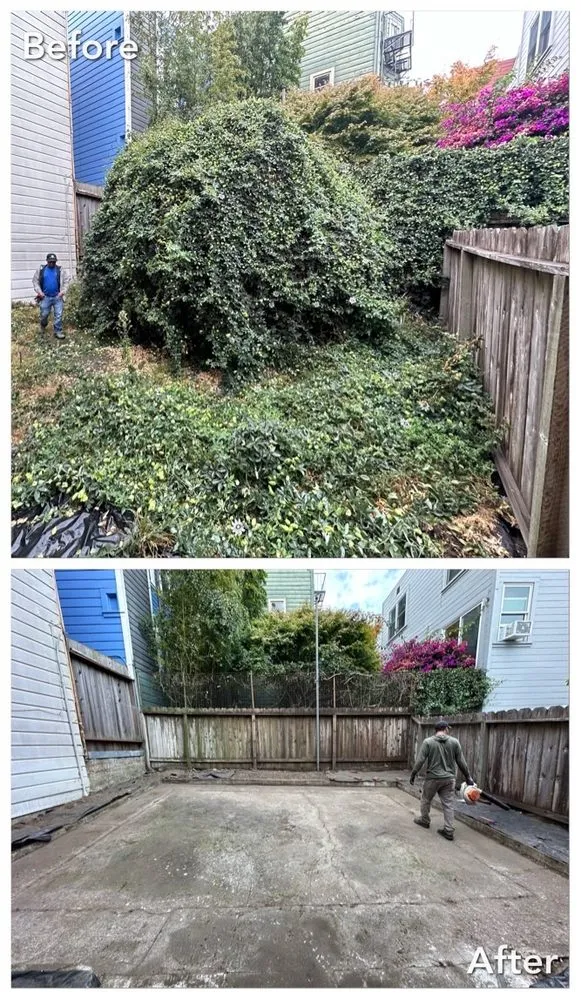 Custom garden landscaping for year-round maintenance across San Francisco, CA - A&M Hauling & Demolition