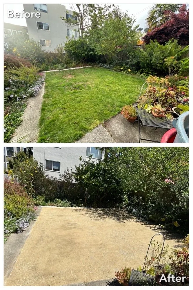 Custom landscaping services in San Francisco, CA by A&M Hauling & Demolition