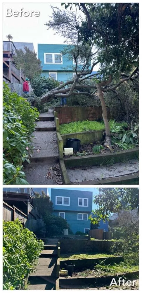 Affordable lawn care service for outdoor upgrades across San Francisco, CA - A&M Hauling & Demolition