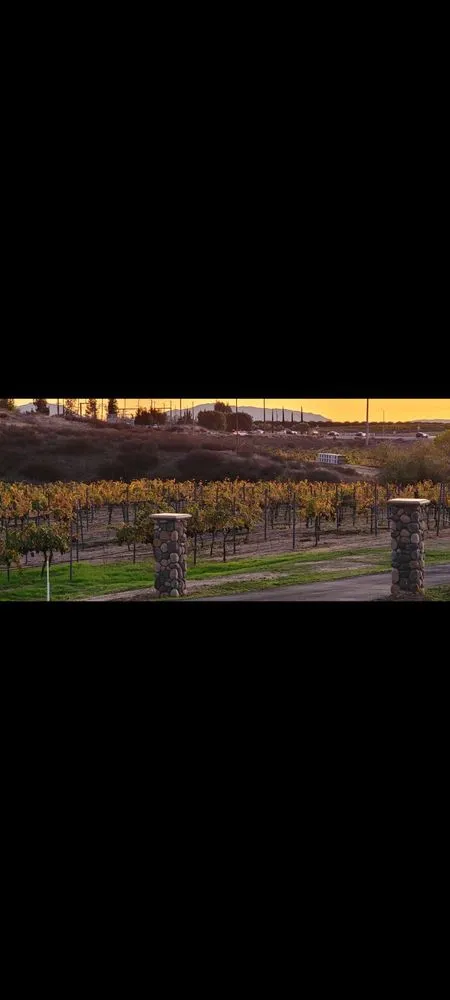 Reliable lawn mowing service in Murrieta, CA by AM Kerbing