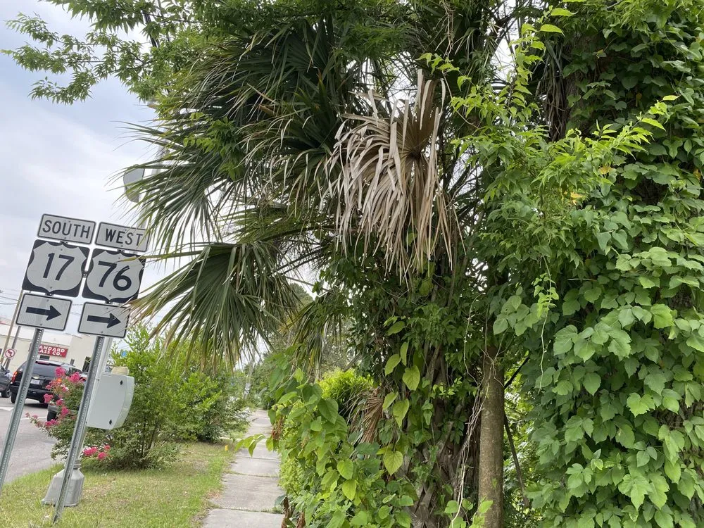 Trusted lawn care service experts serving Burgaw, NC - A&M landscape Services