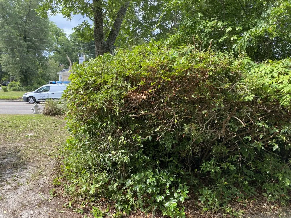 Custom landscaping services in Burgaw, NC - A&M landscape Services