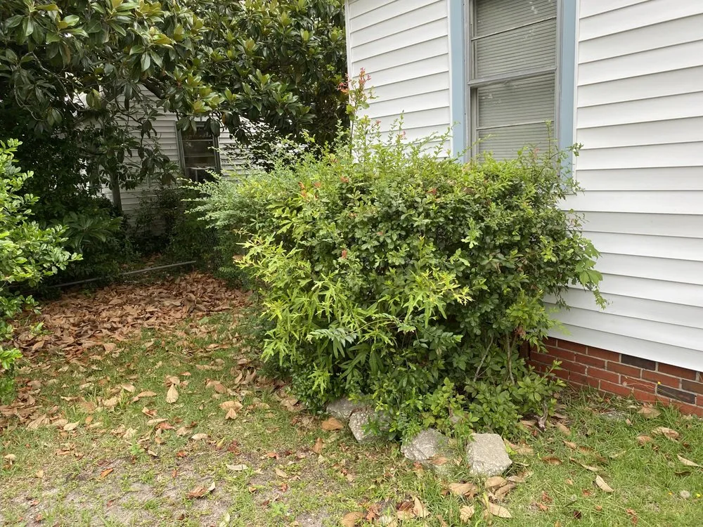 Affordable outdoor landscaping with custom design in Burgaw, NC by A&M landscape Services